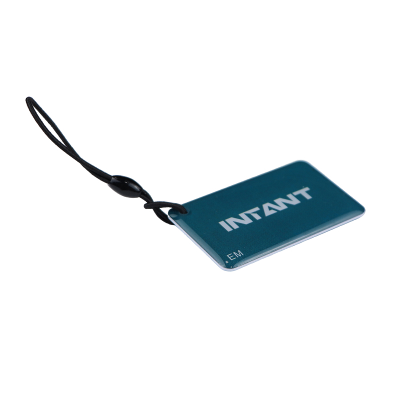 TD-KEYFOB012-EM RFID-брелок из эпоксидной смолы, водонепроницаемый (бирюзовый) EM-Marine