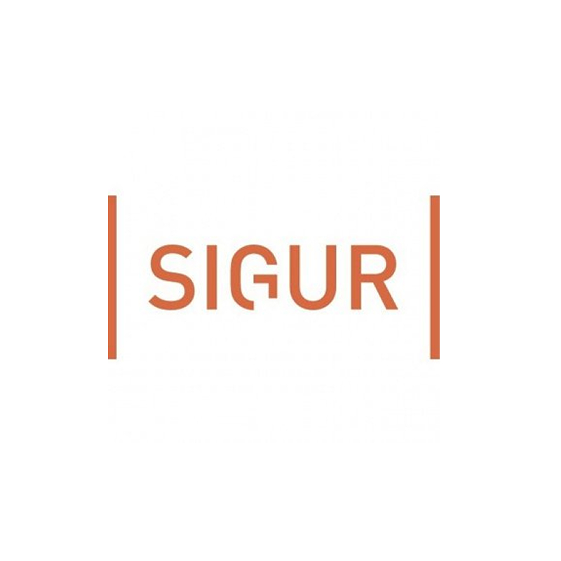 SIGUR ПО Школа