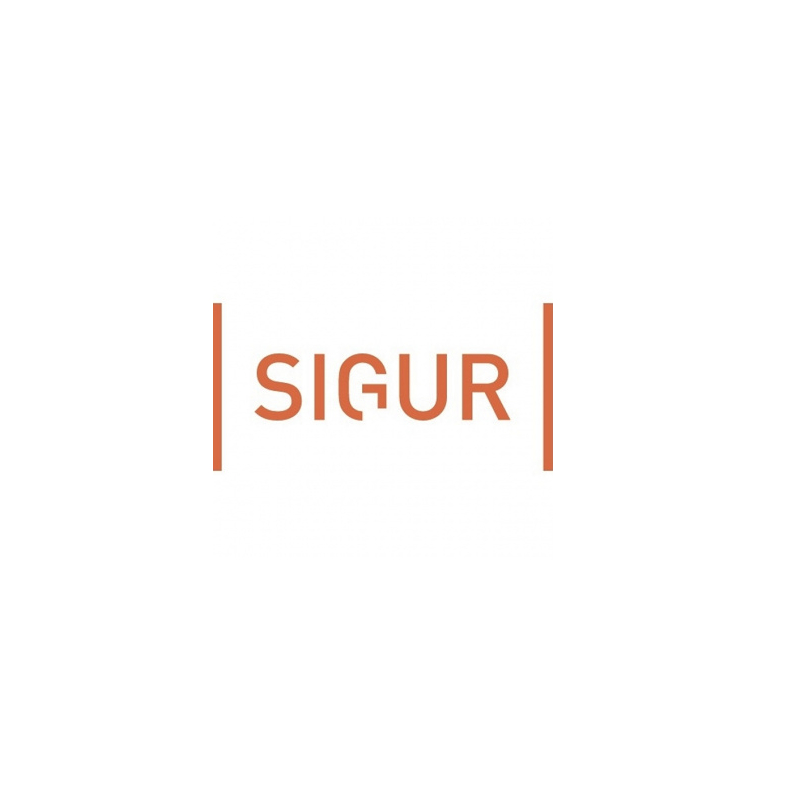 SIGUR ПО Идентификация лица: лицензия на одну камеру