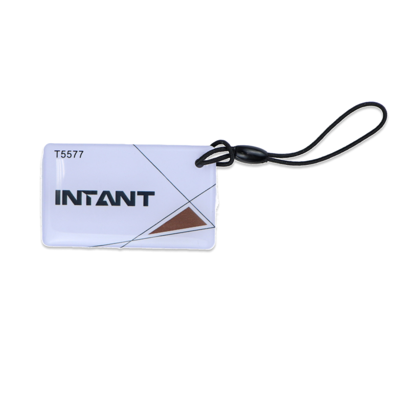 TD-KEYFOB012-T5577 RFID-брелок из эпоксидной смолы, водонепроницаемый (INT/корич./белый) EM-Marine.