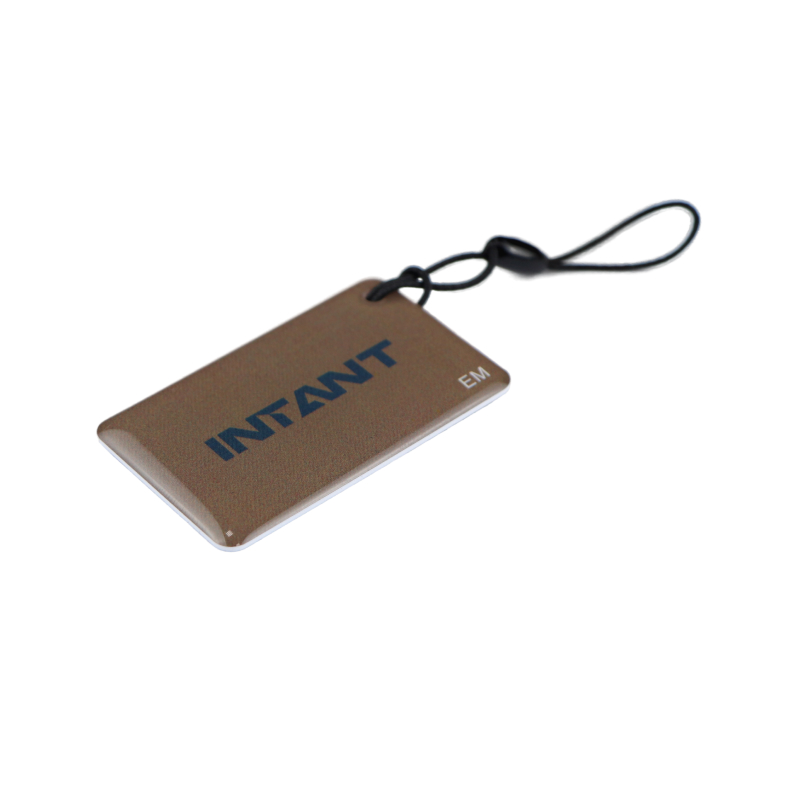TD-KEYFOB012-EM RFID-брелок из эпоксидной смолы, водонепроницаемый (коричневый) EM-Marine